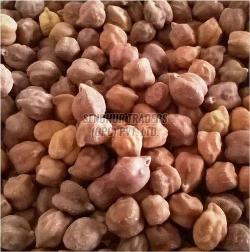 Indian Bengal Gram