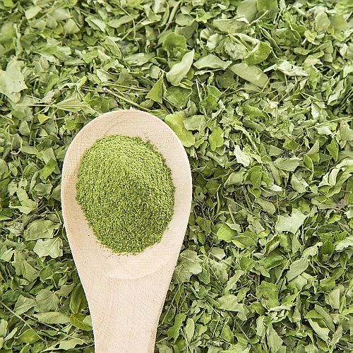 Moringa Dried Leaves Powder