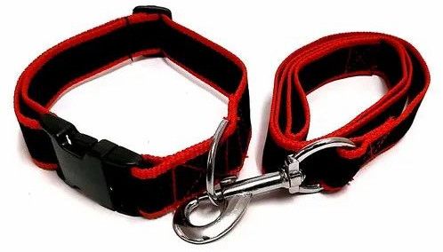 Dog Leash