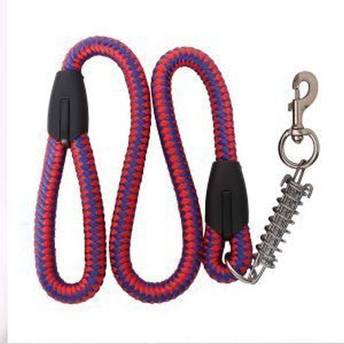 Fancy Dog Leash with Spring