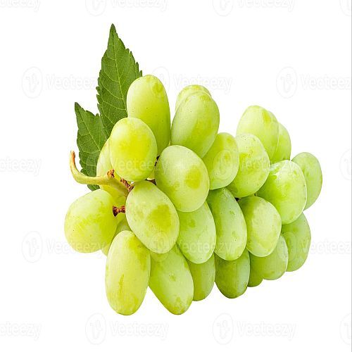 Fresh Grapes
