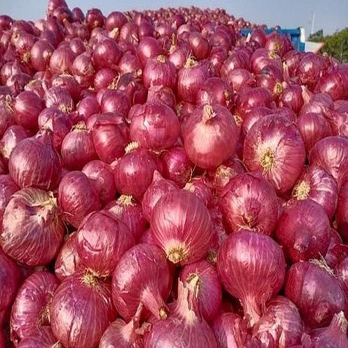 Fresh Onion