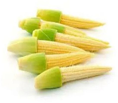 Fresh Baby Corn