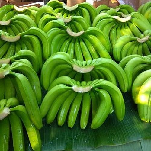 Fresh Green G9 Banana