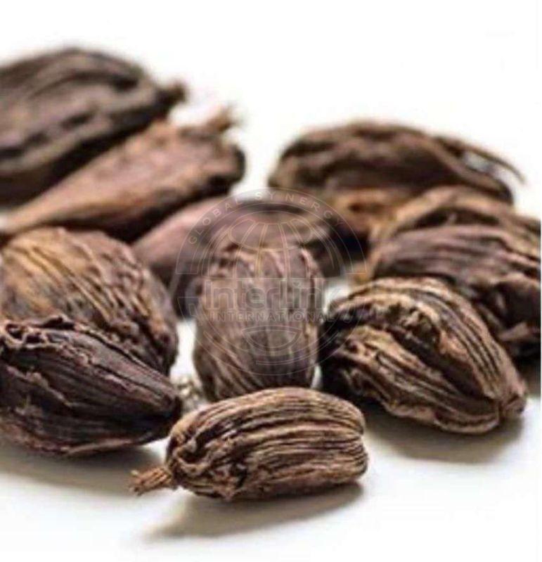 black cardamom