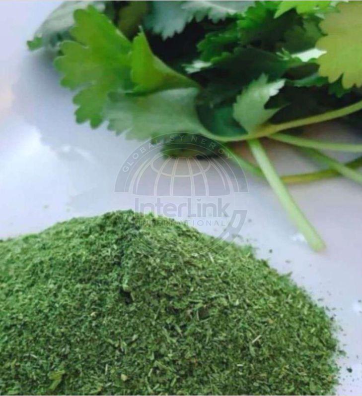 Fresh Coriander Powder