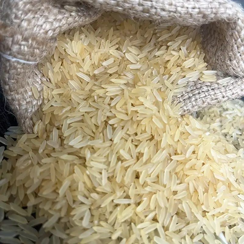 PR11 Golden Basmati Rice