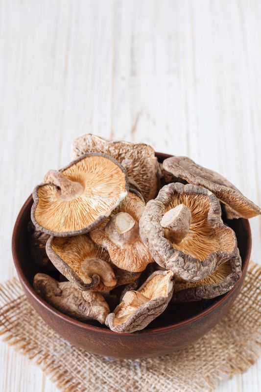 A Grade Dry Oyster Mushroom