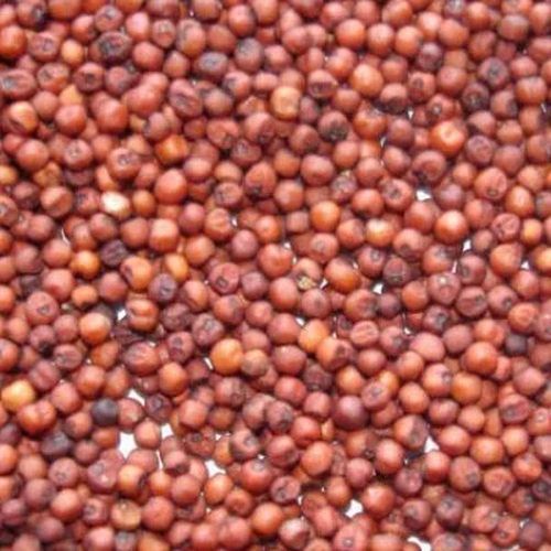 Organic Ragi Millet, Color : Red, Grade : Feed Grade at Rs 30 in ...