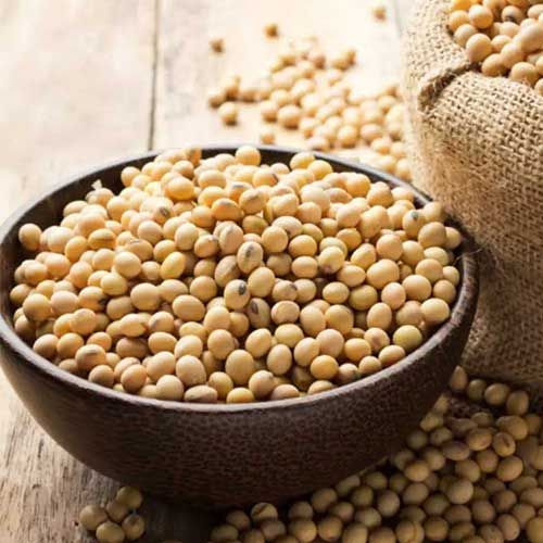 Guar Gum Seed
