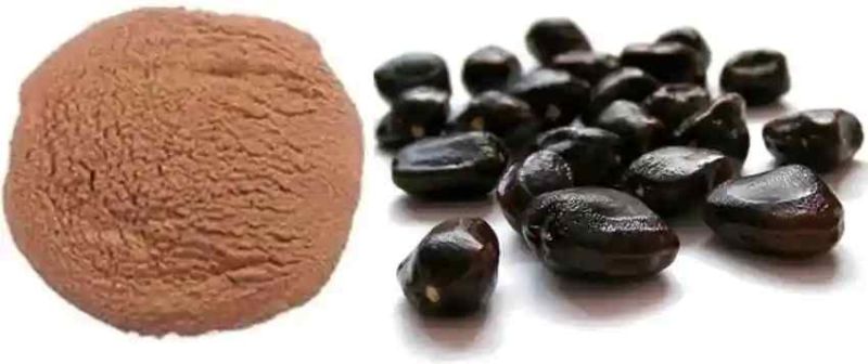 Tamarind Seed Powder