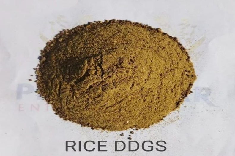Rice Dried Distillers Grains