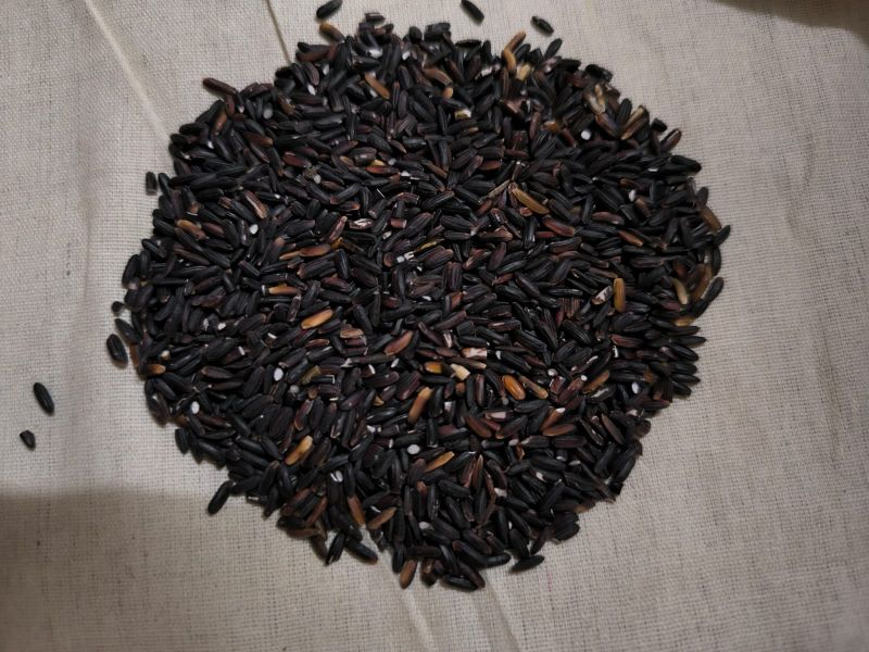 Black Rice