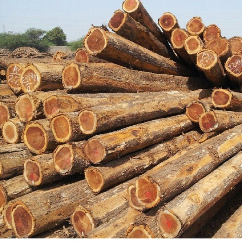 Brown African Teak Wood Logs
