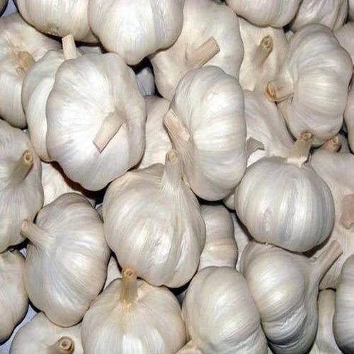 Whole Garlic