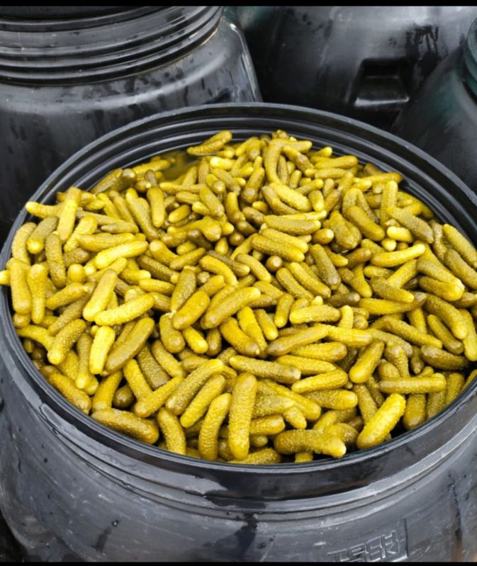 High Quality Pickled Gherkins