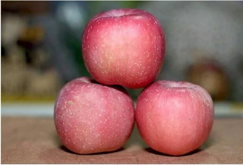 Fresh Fuji Apple