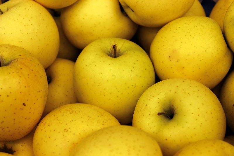 Fresh Golden Delicious Apple