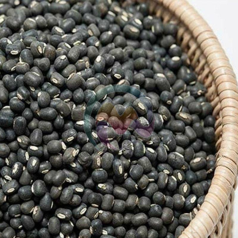 Black Urad Beans