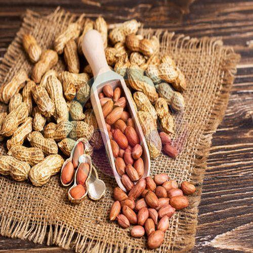 Groundnut Kernels