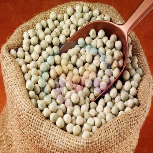 Vatana Beans