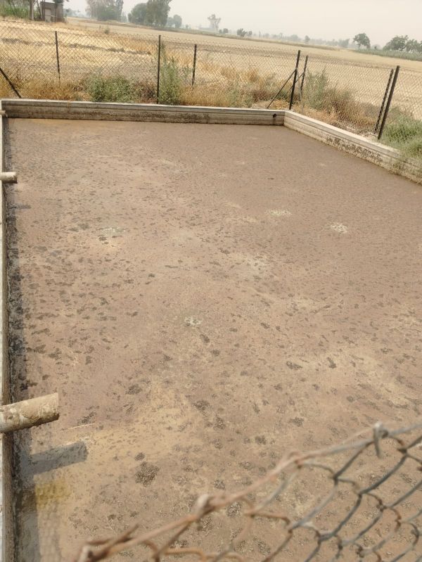 Raw Cow Dung