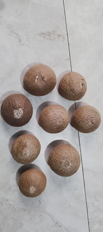 Betel Nut