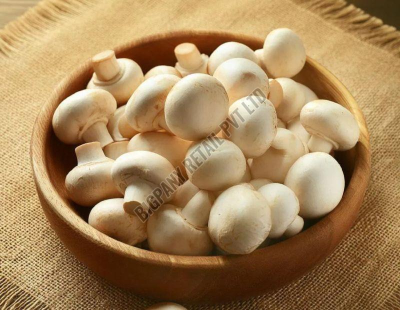 Fresh White Button Mushroom