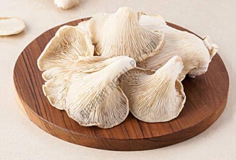Dried Oyster Mushroom