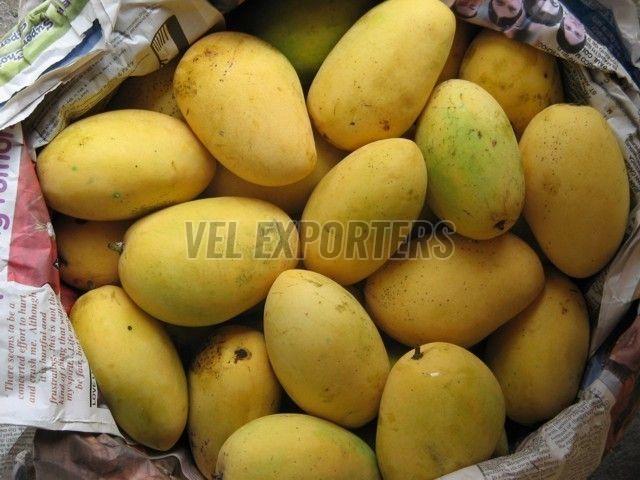 Fresh Chaunsa Mango