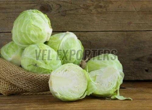 Fresh Green Cabbage