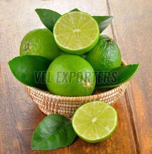 Fresh Green Lime