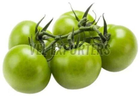 Fresh Green Tomato
