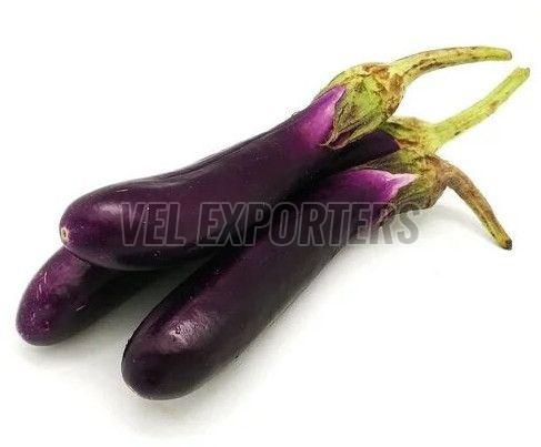 Fresh Long Brinjal