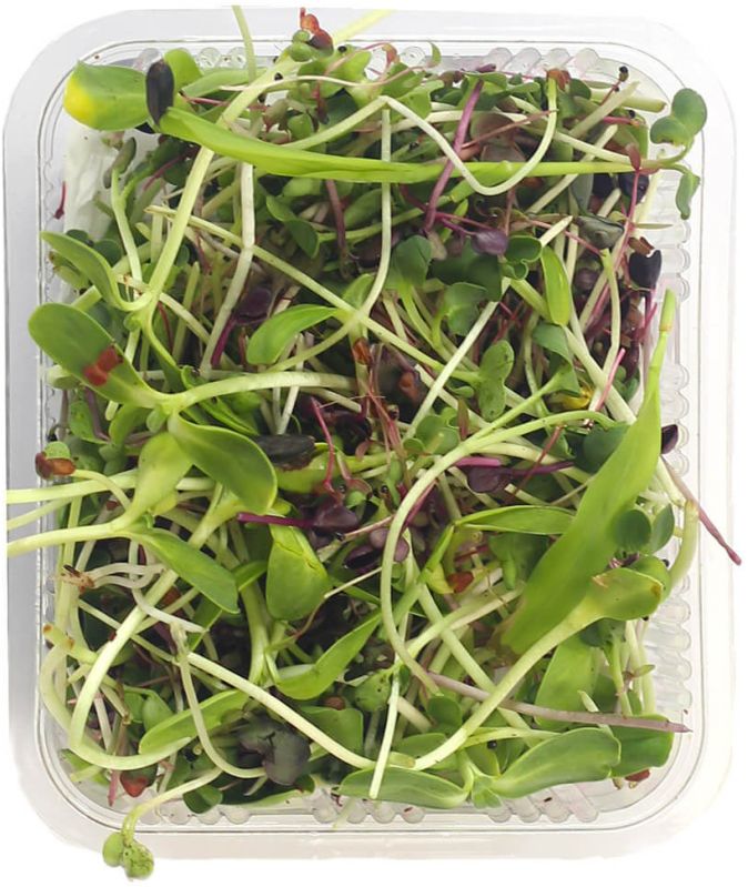 Mix Microgreen