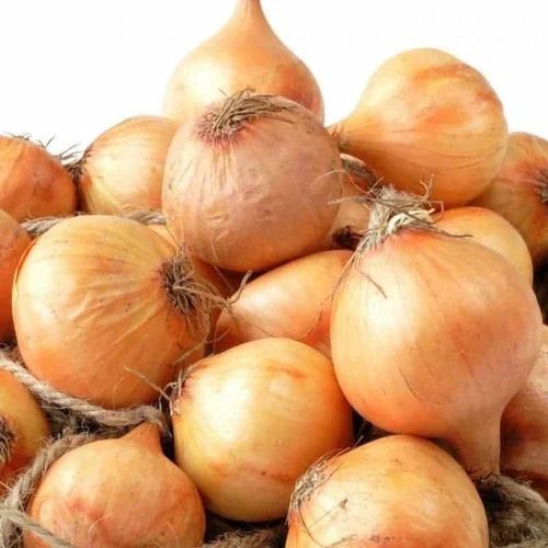 Fresh Sweet Onion