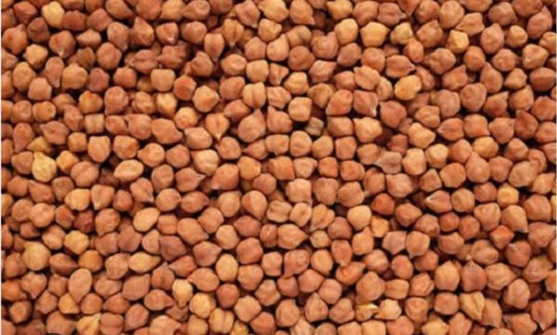 Kala Chana