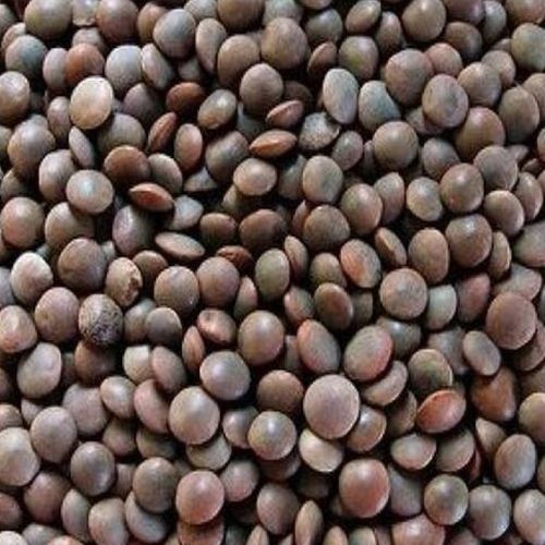 Black Masoor Dal