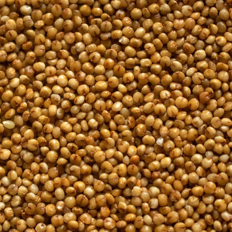 Kodo Millet