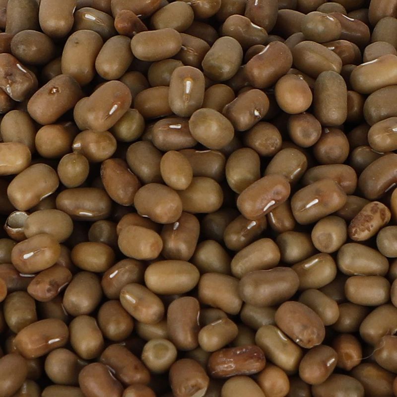Moth Beans