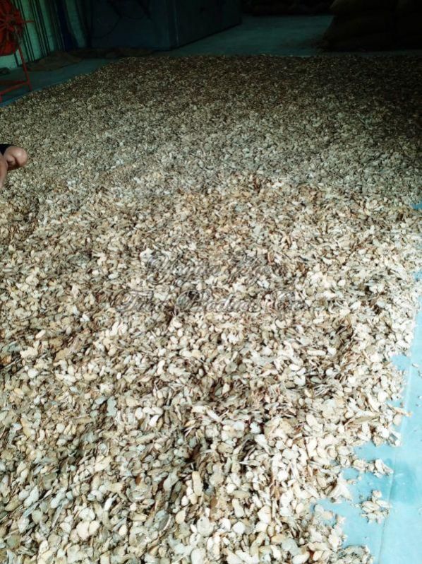 IPM Spices