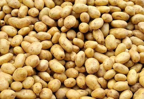 Fresh Brown Potato