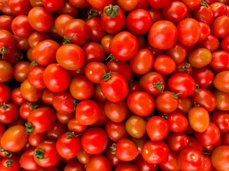 Fresh Desi Tomato