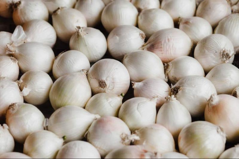 Fresh White Onion