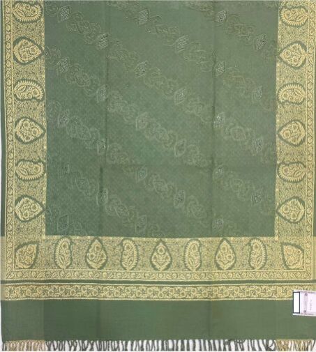 Pista Green Viscose Wool Shawl with Embroidery Border
