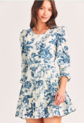 Blue 100% Cotton Printed Dress
