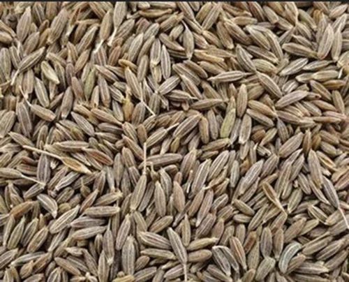Cumin Seeds