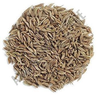 Cumin Seeds & Powder