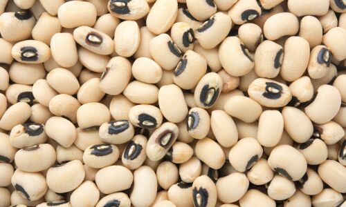 Lobia Seeds