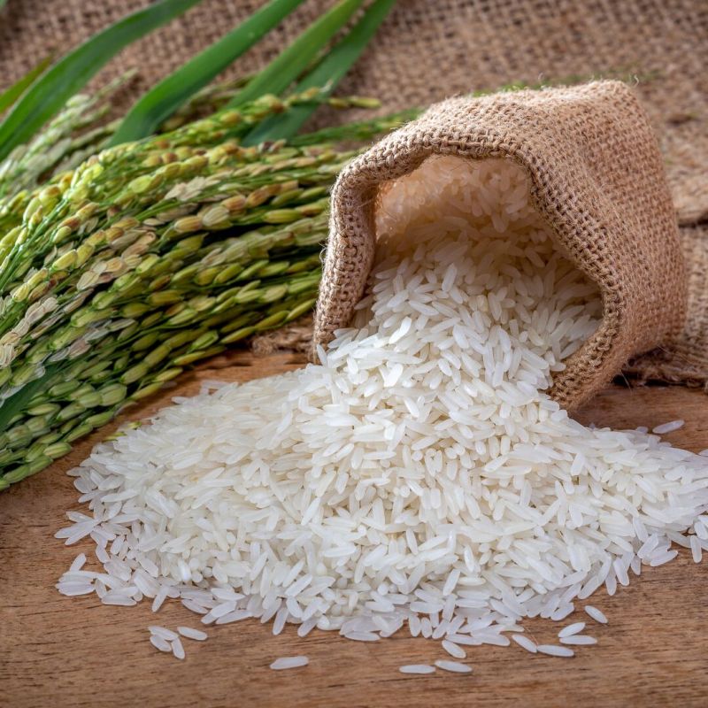 Sona Masoori Rice